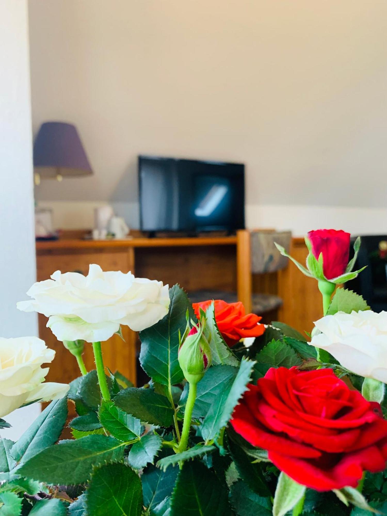 Hotel Garni Rosbach vor der Hohe Luaran gambar